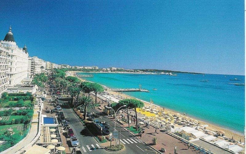 Superbe Studio In Cannes 450M Sea & Parking Eksteriør billede